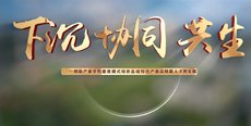 凯发娱乐官方网站入口说明」的上下文
